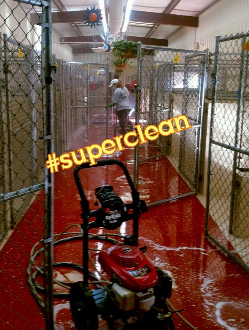 Photo Gallery Charlotte Kennels