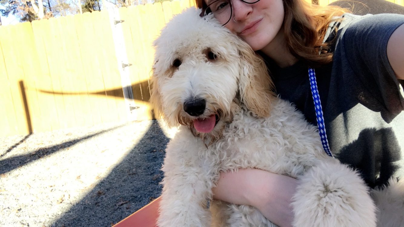 About Charlotte Kennels