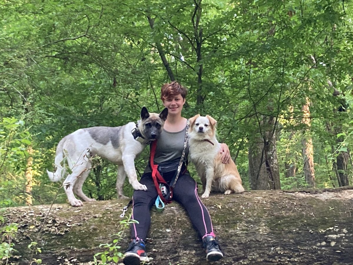 About Charlotte Kennels