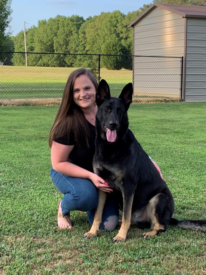 About Charlotte Kennels