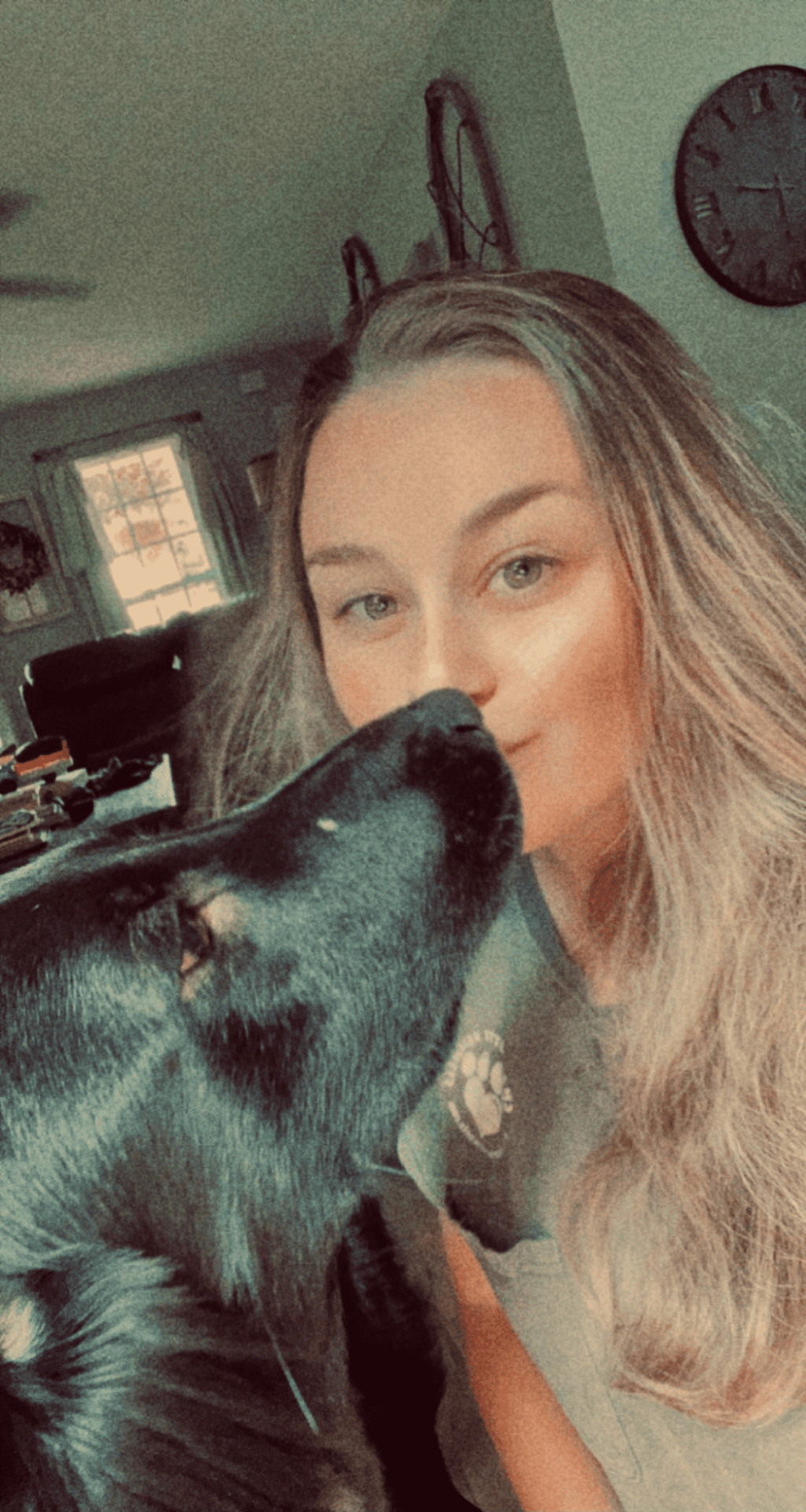 About Charlotte Kennels