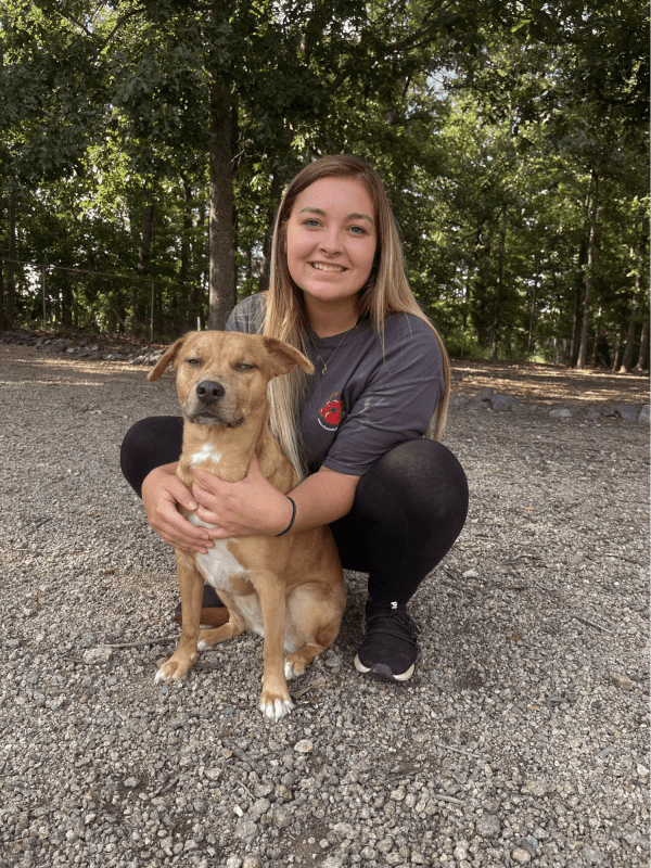 About Charlotte Kennels