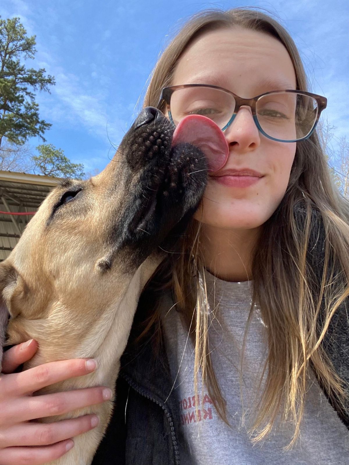 About Charlotte Kennels