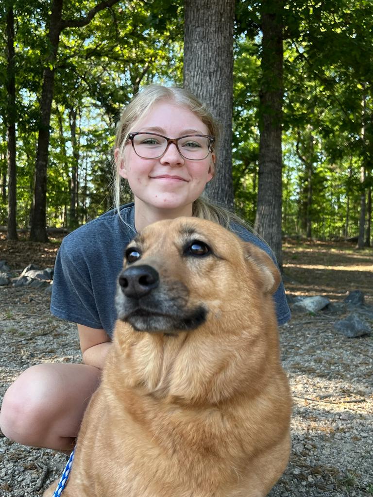 About Charlotte Kennels